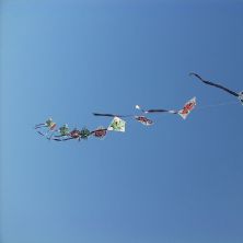 Kite_festival