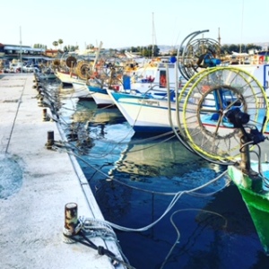Fishing boats Paphos